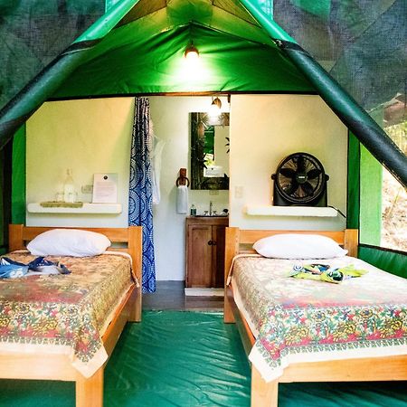 月神山林小屋 Carate 外观 照片