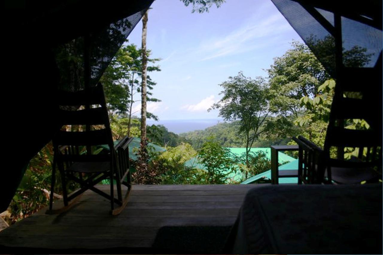月神山林小屋 Carate 客房 照片