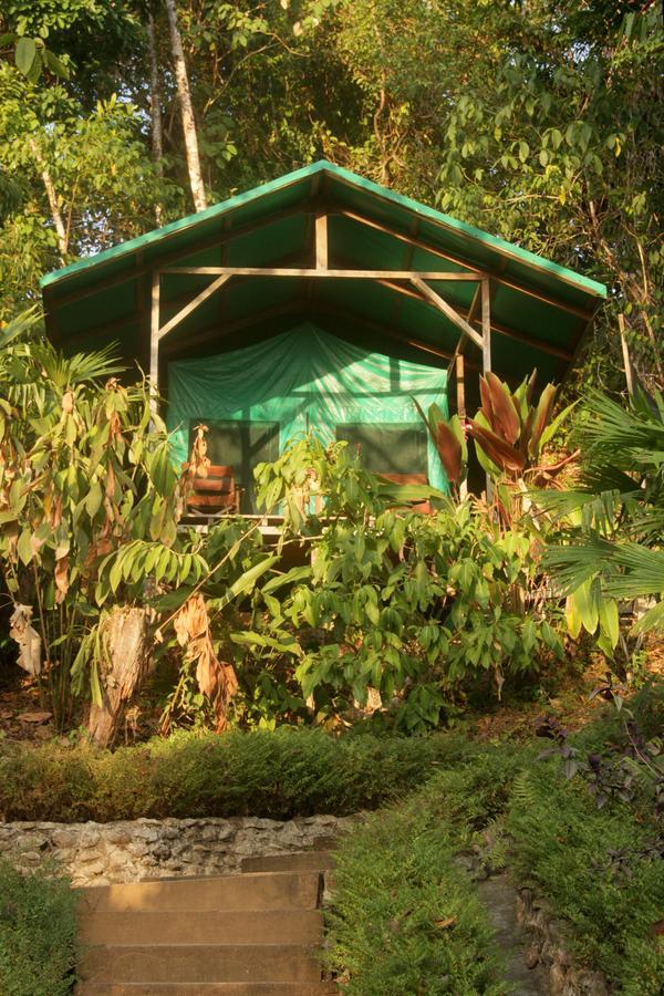 月神山林小屋 Carate 客房 照片